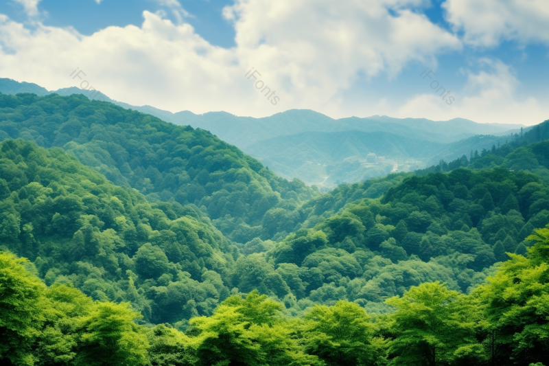 夏天绿油油的农作物种植户外森林园林景观,高清,摄影图,摄影图片,图片大全,摄影图免费下载